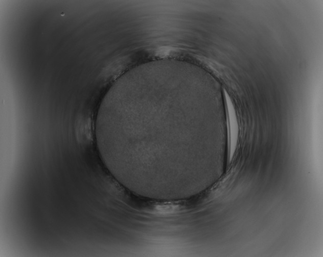 X0000094370470200711162114