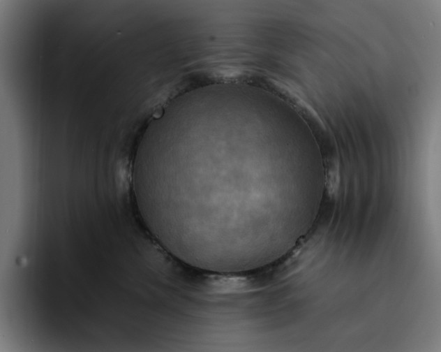 X0000094370476200711162114