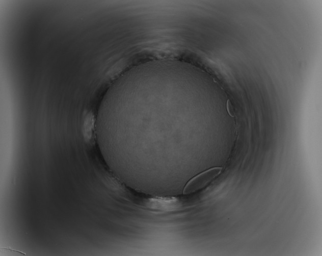 X0000094370480200711162114