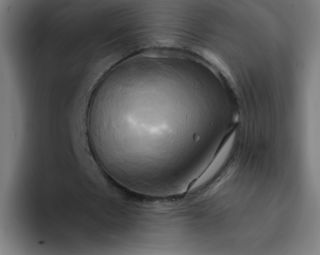 X0000094370481200711162114