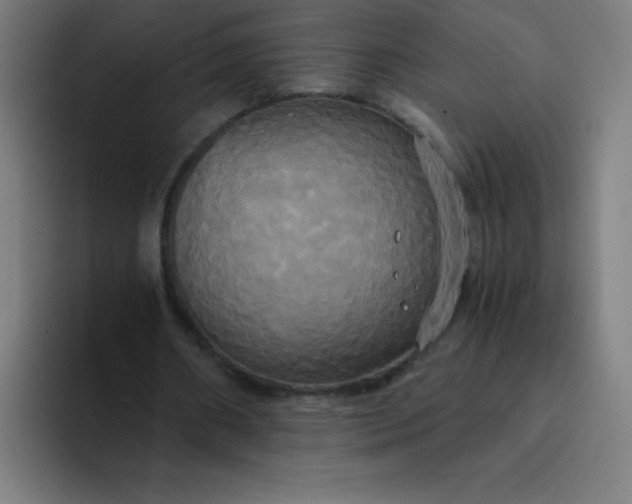 X0000094370482200711162114