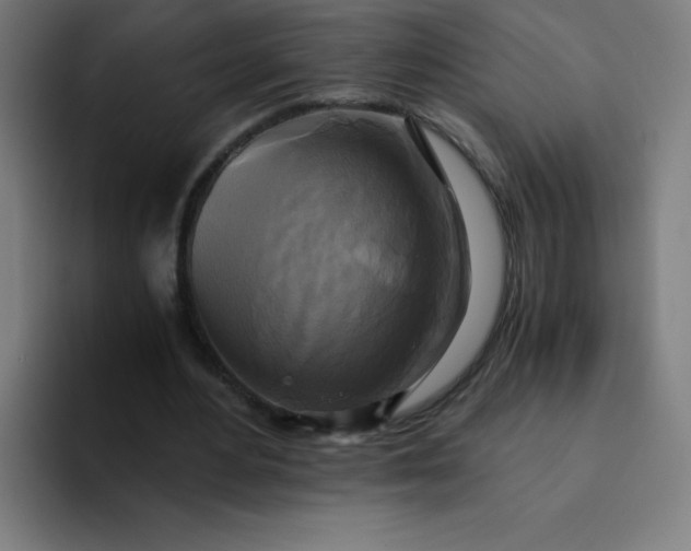 X0000094370484200711162113