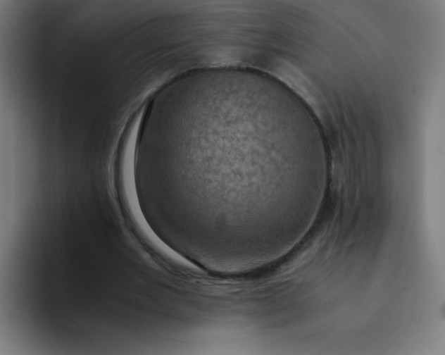 X0000094370485200711162113