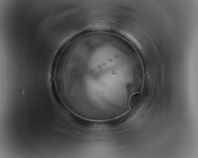 X0000094370487200711162113