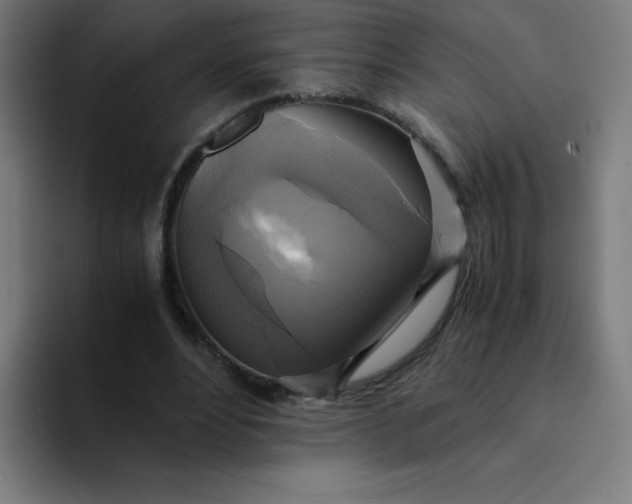 X0000094370488200711162113