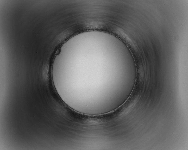 X0000094370490200711162113