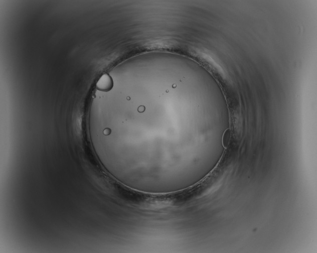 X0000094370491200711162113