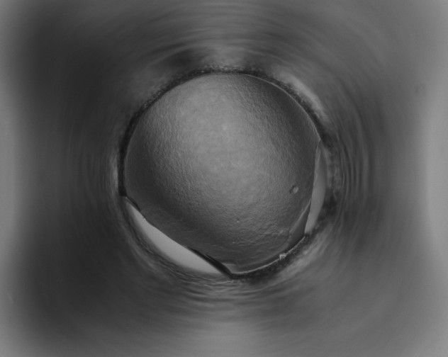 X0000094370493200711162113