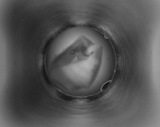 X0000094370495200711162113