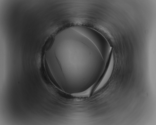 X0000094370496200711162113