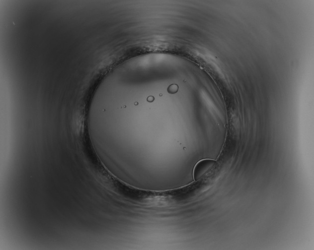 X0000094370499200711162113