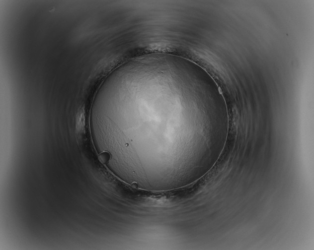 X0000094370502200711162113
