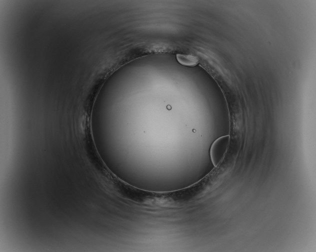 X0000094370503200711162113