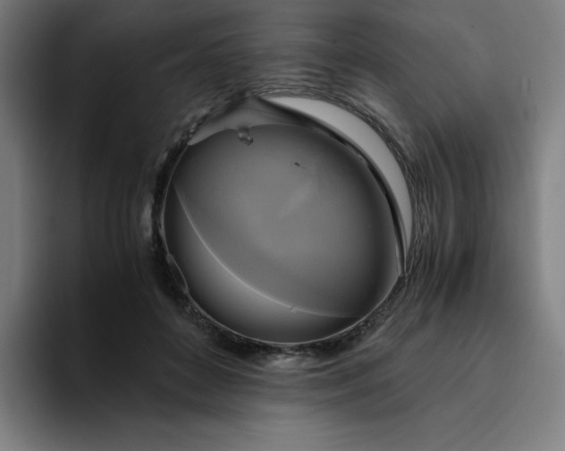 X0000094370504200711162113