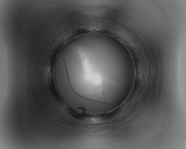 X0000094370506200711162113