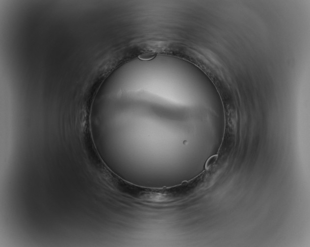 X0000094370507200711162113