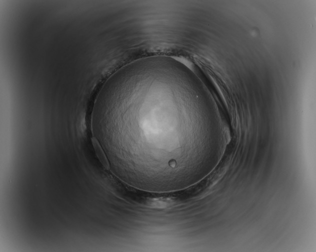 X0000094370508200711162113