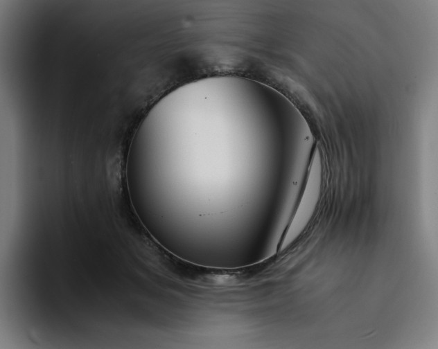 X0000094370509200711162113