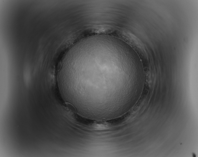 X0000094370510200711162113