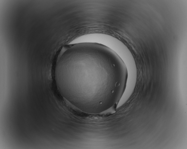 X0000094370512200711162113
