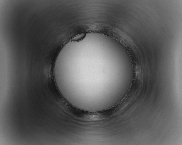 X0000094370514200711162113