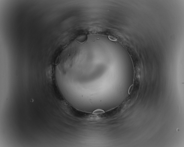 X0000094370519200711162113