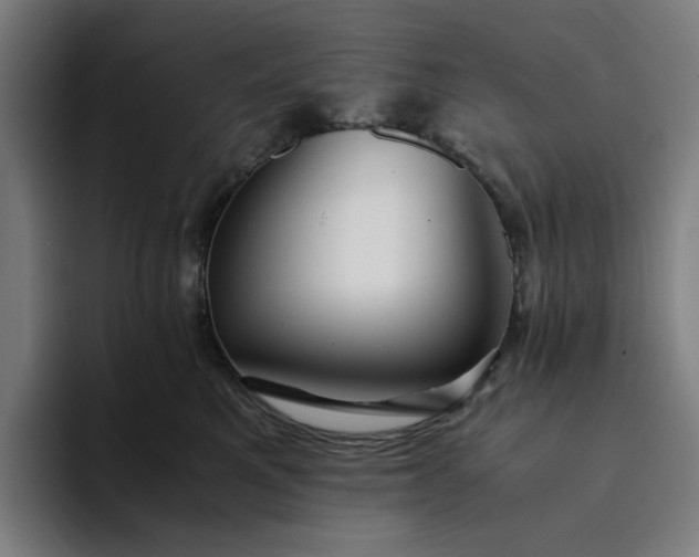 X0000094370521200711162113