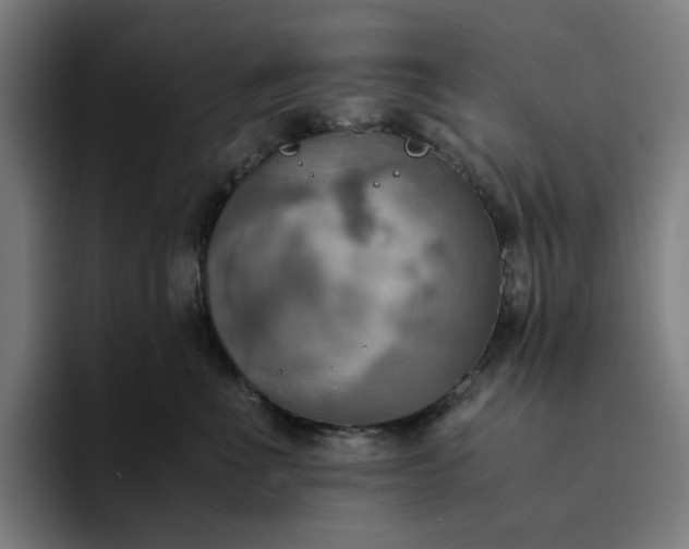 X0000094370523200711162113
