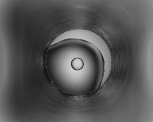 X0000094370524200711162113