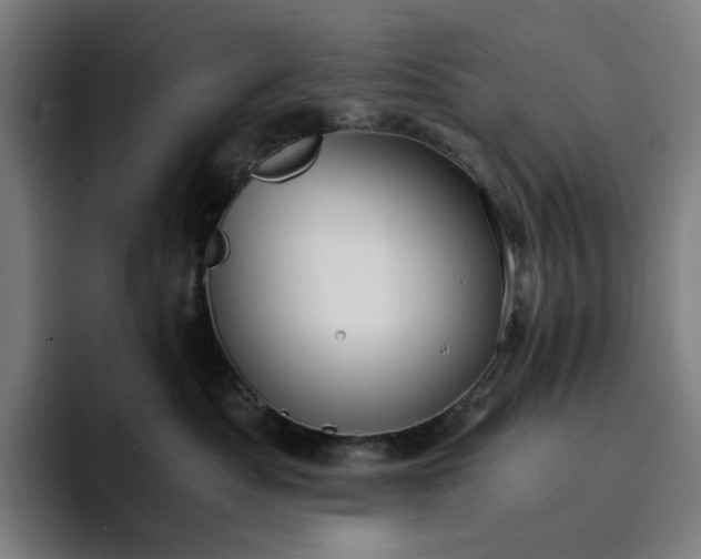 X0000094370525200711162113