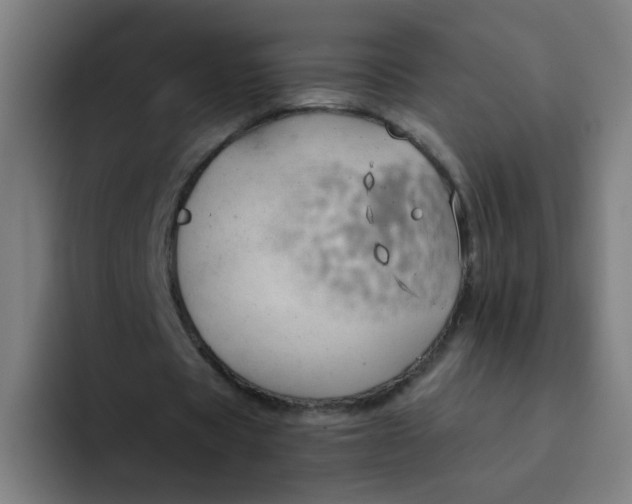 X0000094370529200711162112