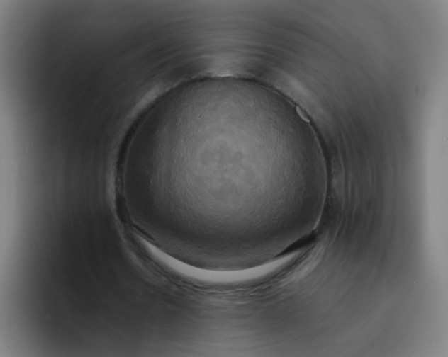 X0000094370530200711162112
