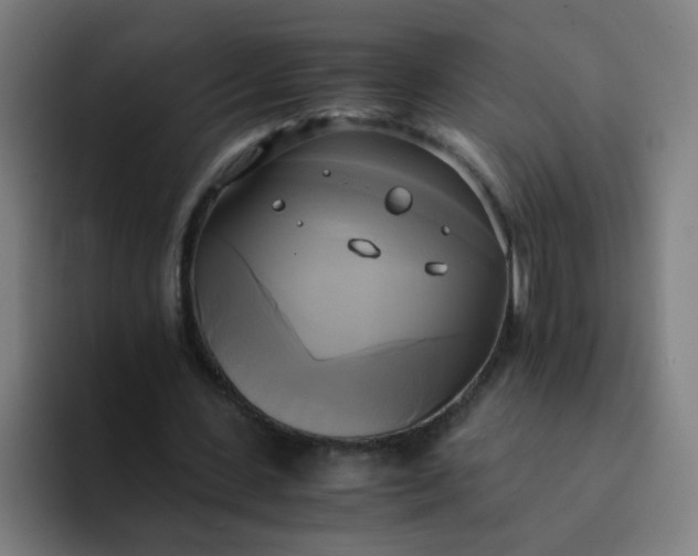 X0000094370531200711162112