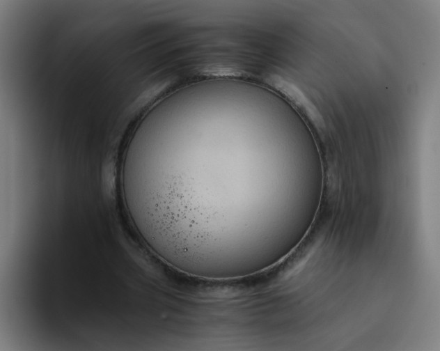 X0000094370533200711162112