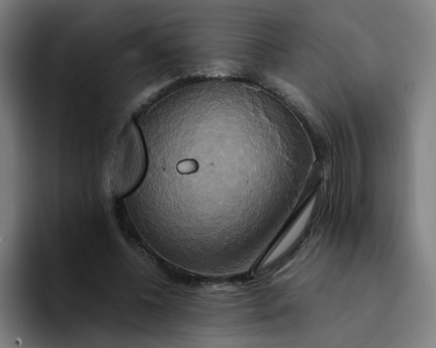 X0000094370540200711162112