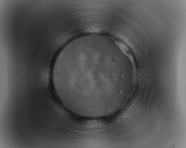 X0000094370544200711162112
