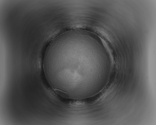 X0000094370546200711162112