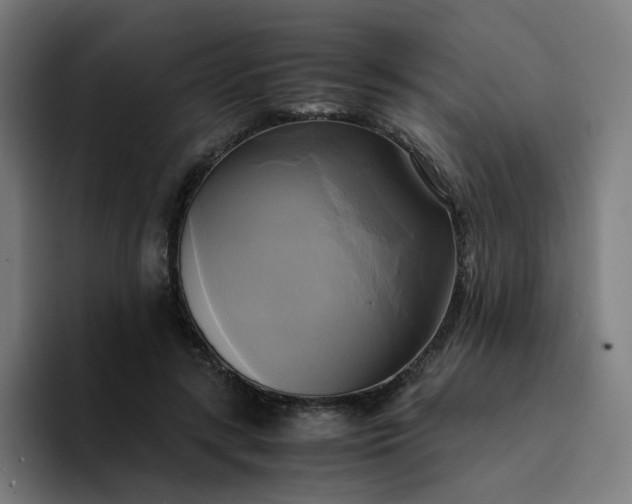 X0000094370547200711162113