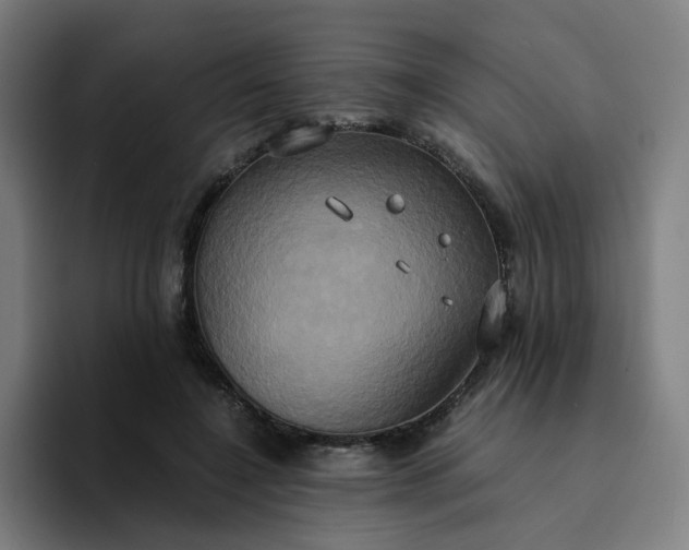 X0000094370548200711162113