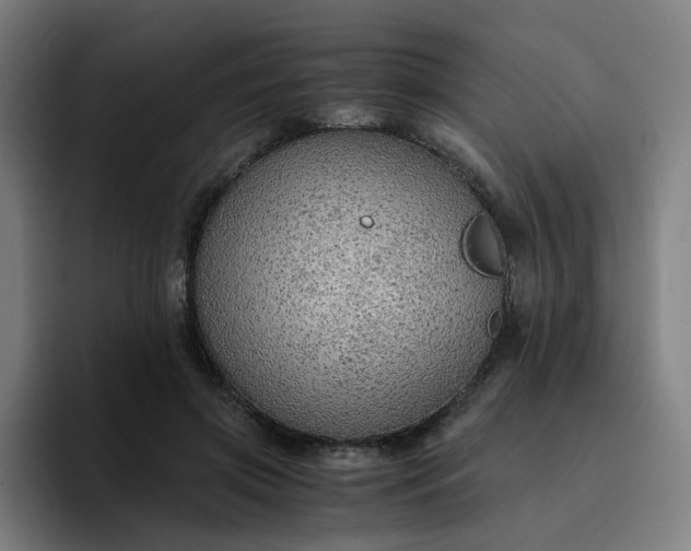 X0000094370549200711162113