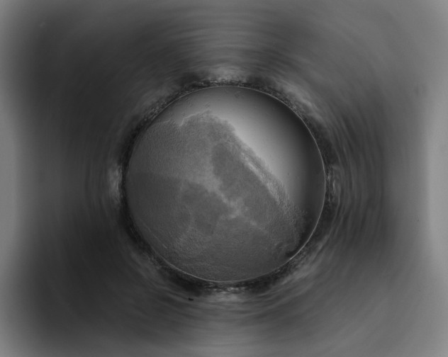 X0000094370550200711162113