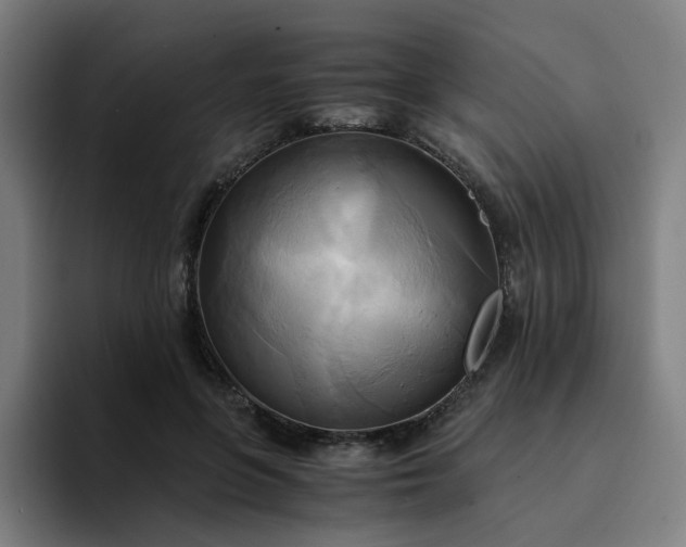 X0000094370551200711162113