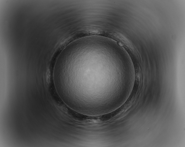 X0000094370552200711162113