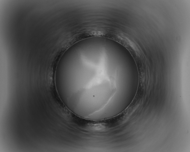 X0000094370553200711162113