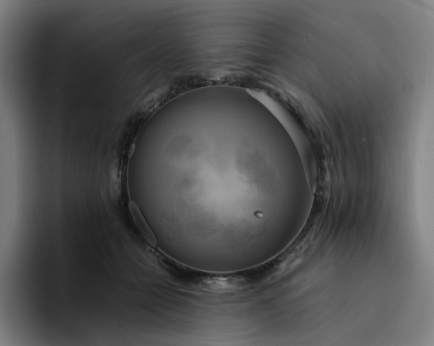 X0000094370558200711162113