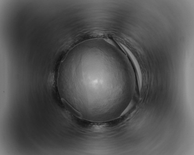 X0000094370560200711162113