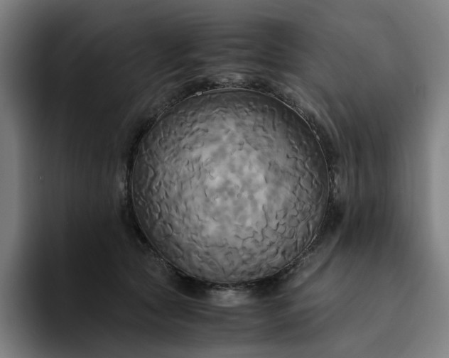 X0000094370561200711162113