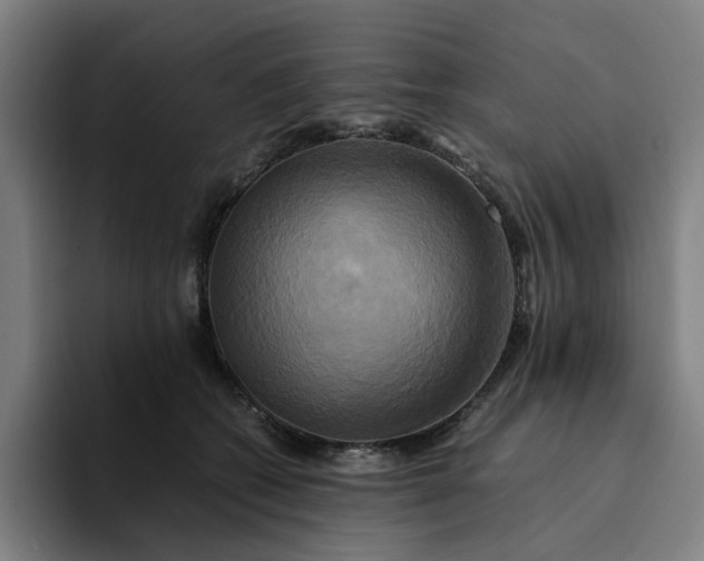 X0000094370562200711162113