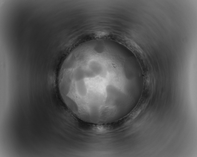 X0000094370565200711162113