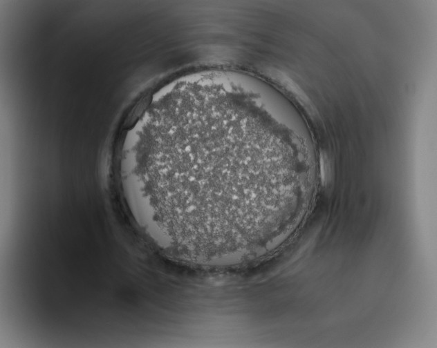 X0000094370579200711162112